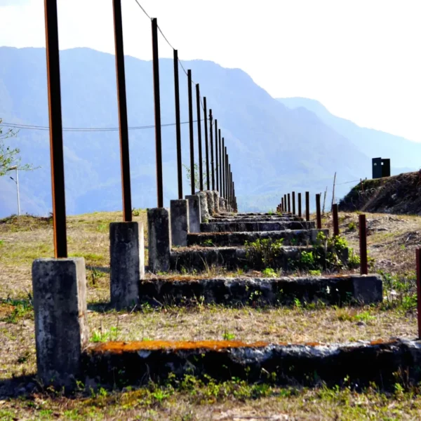 Bothered by the Border